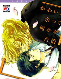 Kawaisa Amatte Nanika ga Hyakubai