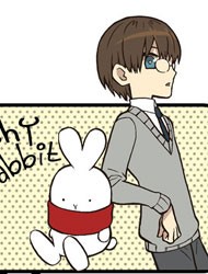 Shy Rabbit Booto